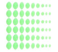 Healvian 1 Boîte Lot de Perles de Pêche Lumineuses Ovales en Plastique Vert Clair, Kit Grosse Capacité Fonction Phosphorescente pour Appâts Sécurisés en Pêche Nocturne