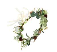 Healvian 1 Pc Bandes De Cheveux De Fête Couronne De Couronne Pour Les Femmes Coiffe Fleur Couronne Fraîche Accessoires De Maquillage Couronnes De Cheveux Pour Femmes Casque De Mariée