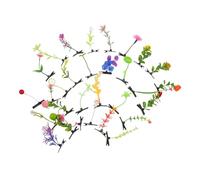 Healvian 30pièces Pins pour Cheveux avec Motifs de Plantes de Fruits Champignons Accessoires de Coiffure Fantaisie pour Cosplay et Fêtes Style Aléatoire