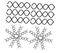 Healvian 50pièces Épingles à Cheveux Petites Spirale Pinces Réutilisables Antidérapantes Pour Chignons Barrettes Torsadées Avec Pointes Rondes Accessoires Pour Cheveux Pour Femmes