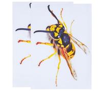 Healvian Autocollant Voiture 3D Guêpe Réaliste Transparent 2 Feuilles Décoratives Insecte en Relief Autocollant Mural Guêpe Repositionnable pour Décoration Intérieure et Véhicule