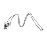 Healvian Collier Tête De Mort Pour Homme 1 Pièce Collier Viking Pendentif Gothique Rétro Chic En Acier Titane Et Chaîne Pour Garçon