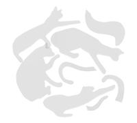 Healvian Gabarit de Matelassage en Acrylique Petit Format Patron de Couture Motifs Floraux Règle de Quilting pour Loisirs Créatifs Outils de Matelassage Précis pour Patchwork et Couture