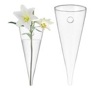 Healvian Grand Vase en Verre Transparent en Forme De Cône Circulaire Suspendu Mur pour Décoration D'Intérieur Salon Bureau Fait Main 8 Pouces