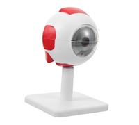 Healvian Modèle Anatomique Médical de L'œil en Pvc Blanc Léger et Portable, Montre Structure Anatomique Détaillée du Globe Oculaire pour Enseignement Scientifique