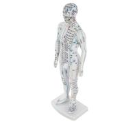 Healvian Modèle De Méridien De Médecine Traditionnelle Chinoise Modèle D'Affichage De Massage Corporel Du Corps D'Acupuncture Fournitures De Formation