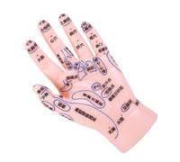 Healvian Modèle d'Entraînement à la Réflexologie Main Simulation Détails Acupoints Outil Éducatif pour Massage Acupuncture Modèle pour Écoles de Médecine Traditionnelle Chinoise