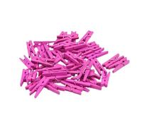 HEANUJJ 100 Pièces Mini Pince à Linge en Bois 2,5cm Légère et Robuste, Clips Photo Pratiques pour Cartes et Décorations D'œuvres d'art en Vacances