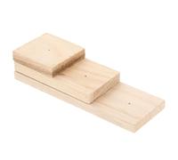 HEANUJJ Présentoir en Bois Robuste pour Exposition de Spécimens D'insectes, Grand Format, Trou Central pour Épinglage, Support pour Laboratoire, École et Collection Personnelle