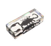 HEANUJJ Résine Transparente Modèle de Scorpion pour Cours de Sciences | Observation Claire, Objet Décoratif Noir, Conservation Solide, pour Collectionneurs, Enseignants et Bureau