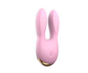 Hear Me - Stimulateur Clitoridien pour Adultes - 2 Moteurs Puissants - Silicone Sans Phtalates - 10 Modes de Vibration - Rechargeable USB - Splashproof