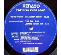 Hear That Voice Again (INCL. DJ Taucher Remix) [Import]