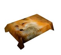 Hearda Nappe de Table Rectangle Anti Tache, Nappe de Cuisine Rectangulaire Impression de Renard Animal 3D Nappe Impermeable Extérieur, pour Jardin Bar Salle à Manger (Renard Orange,140x180cm)