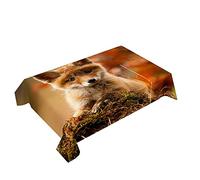 Hearda Nappe de Table Rectangle Anti Tache, Nappe de Cuisine Rectangulaire Impression de Renard Animal 3D Nappe Impermeable Extérieur, pour Jardin Bar Salle à Manger (Petit Renard,150x260cm)