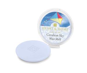 Heart and Home Galet pour brûle parfum cire de soja Gardénia, iris et camomille, 27 gramme, 2 bougies