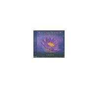 Heart Chakra Meditation 2