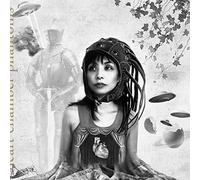 Heart Chamber Phantoms