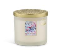 HEART & HOME - Bougie Parfumée à Base de Cire Naturelle de Soja pour la Maison - Ellipse 2 mèches Baies d’Hiver - Durée de combustion 40h - Cadeau, Décoration et Parfum pour la Maison - Pot en verre