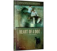 Heart Of A Dog