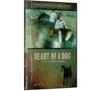 Heart Of A Dog DVD E