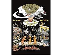 Heart Rock Drapeau Original de l'album Dookie de Green Day, en Tissu, Multicolore, 110 x 75 x 0,1 cm