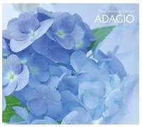 Heartwarming Classics 6. Adagio/Various [Import]