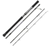Hearty Rise Skywalker Popping Canne à pêche en mer, 2,50 m, 50-150 g, pour voyage de pêche, pêche en mer, canne de voyage