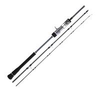 Hearty Rise Skywalker Slow Jig Cast Canne à pêche en mer 1,91 m, 70-150 g, canne à pêche en mer