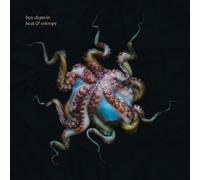 Bada Bing – Heat & Entropy – Vinyle 12" analogique