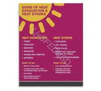 Heat Illness Recognition Poster Signs of Heat Exhaustion and Stroke Simplified Safety Guide Canvas for Outdoor Safety(Framed,16x24inch(40x60cm))