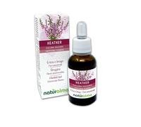 Heather ou Bruyère (Calluna vulgaris) Remèdes floraux Naturalma - Gouttes 30 ml - Extrait liquide sans alcool - Essences florales - Vegan et sans alcool