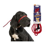 Heather's Heroes Sidekick Licol pour Chien avec Laisse - Laisse Sidekick pour Chiens, Outil de Dressage Efficace pour Les problèmes de réactivité et de comportement de la Laisse (Rouge, Mini (0,6 cm)