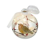 Heaven Sends Boule de Nol en verre transparent LED avec rouge-gorge et baies de Nol 10 cm