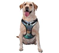 Heaven's Gate Harnais de qualité supérieure pour chiens de petite, moyenne et grande taille - Durable, ne tire pas avec sangles réfléchissantes et boucles à dégagement rapide, taille S