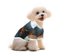 Heaven's Gate T-shirt pour chien et chat - Respirant et doux - Taille M