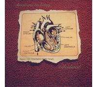 Heavens to Betsy - Calculated -Coloured-