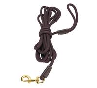 Heavy Duty Dog Leash | Strong Nylon Rope with Secure - Grip Handle | Training & Walking Leash for Medium/Large Dogs | Extended Length for Comfortable Control