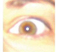 Heavy Duty Felt - Heavy Duty Felt : for The Time Being