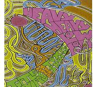 Heavy Heavy Low Low - Turtle Nipple and The. [Import]