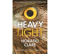 Heavy Light: A Journey Through Madness, Mania and Healing