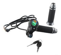 HEBEOT E-Bike Twist Poignée d'accélérateur avec écran LCD Affichage de la vitesse du kilométrage Connecteur 8 broches pour vélo électrique 36 V 48 V 60 V 72 V