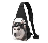 HEBSDFG Law of the Compass Sac à dos à bandoulière unisexe avec imprimé navigation pour voyage, sports de plein air, randonnée, cyclisme, école, Husky Dog, Taille unique, Sac à dos de