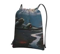 HEBSDFG Sac à dos avec cordon de serrage pour votre anniversaire imprimé résistant à l'eau Sac à dos décontracté pour le sport, la gym, les voyages pour homme et femme, Avions de guerre mondiale, One