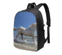 HEBSDFG Sac à dos pour ordinateur portable de 17 pouces pour homme et femme, imprimé capsule spatiale, sac à dos décontracté pour l'école, les voyages, le travail, Couchers de soleil et chevaux du lac