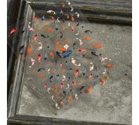 Hebterrka autocollants poissons koï rouge 5D en relief, accessoires nail art chinois mignons