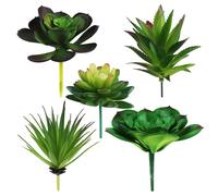 HECATY Lot de 5 fausses plantes succulentes r alistes de grande taille