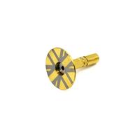 HECHENBAO Alliage Compatible avec Les pièces de vélo, Tube de Selle de vélo, butée de Colonne de Direction en Forme de Champignon, Disque offrant Un Support Stable for Les vélos(Gold)