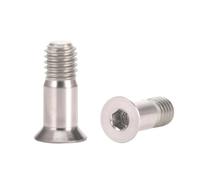 HECHENBAO Boulons de Fixation de poulie de dérailleur arrière de vélo de Route VTT M5 x 14,2 mm, vis de Roue(Silver)