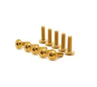 HECHENBAO Boulons et vis en Acier Inoxydable Noir for Moto M6 x 20 mm/M5 x 16 mm(Gold-10Pcs,M5x25mm)