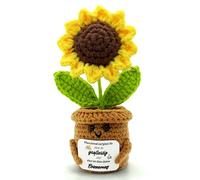 HeDaKang Figurines décoratives pour la maison - Cadeaux positifs - Vous pouvez créer ce que vous êtes génial - Cadeau de tournesols - Bonne rétablissement - Pomme de terre positive - Porte-bonheur au